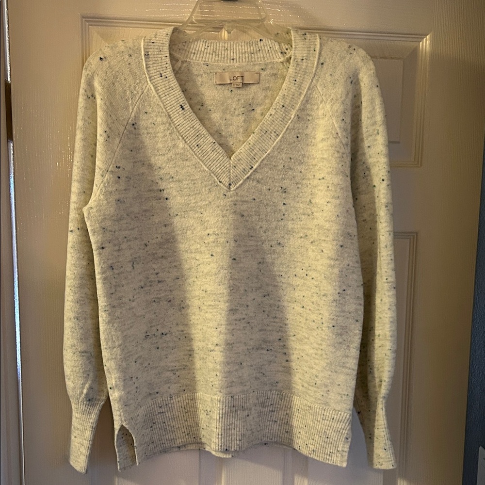 LOFT Men's Speckled Cream V-Neck Sweater